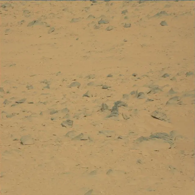 Sol 48: Mast Camera (Mastcam)