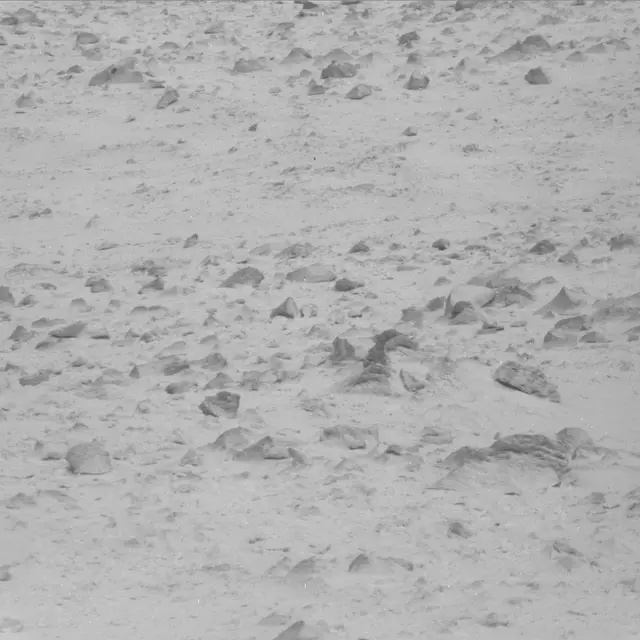 Sol 48: Mast Camera (Mastcam)