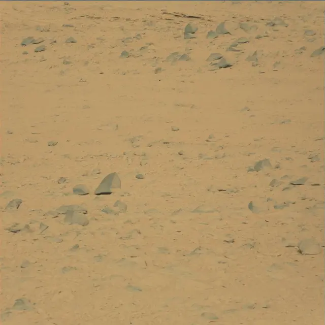 Sol 48: Mast Camera (Mastcam)