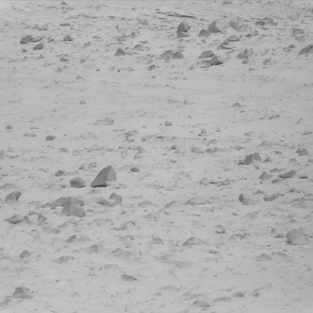 Sol 48: Mast Camera (Mastcam)