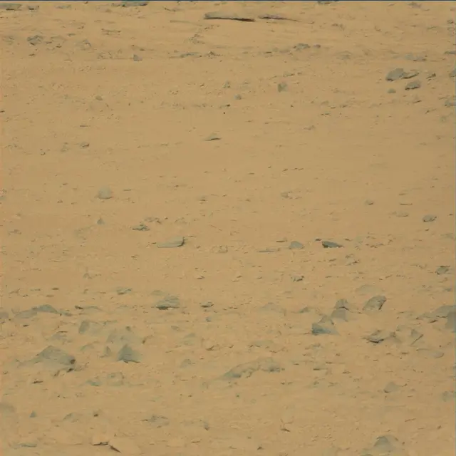Sol 48: Mast Camera (Mastcam)