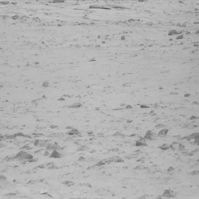Sol 48: Mast Camera (Mastcam)