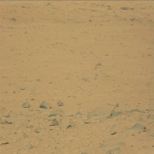 Sol 48: Mast Camera (Mastcam)
