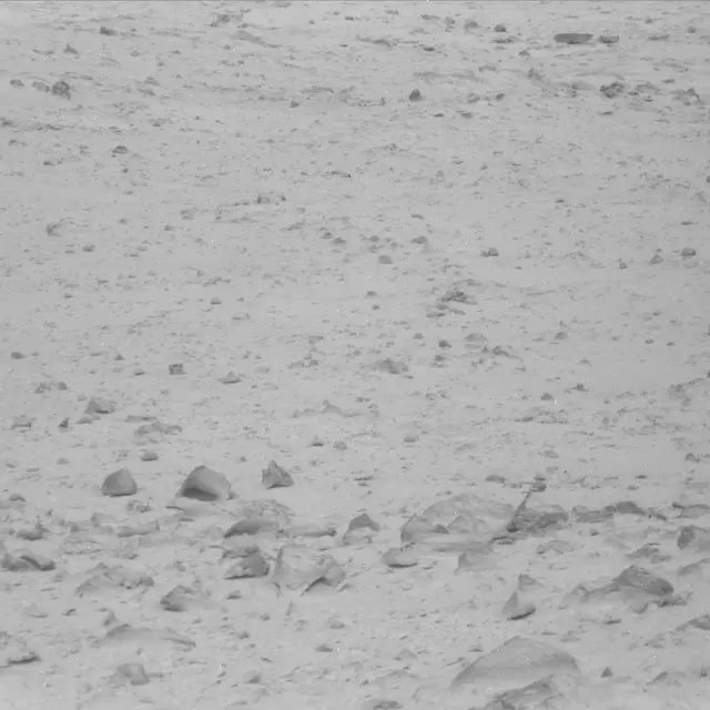 Sol 48: Mast Camera (Mastcam)