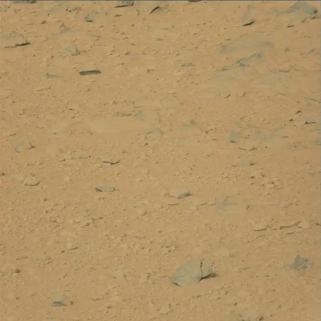 Sol 48: Mast Camera (Mastcam)