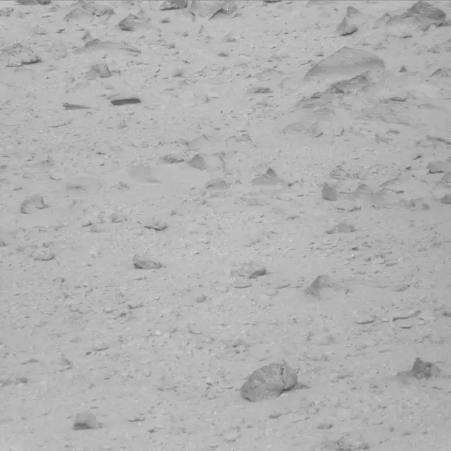 Sol 48: Mast Camera (Mastcam)