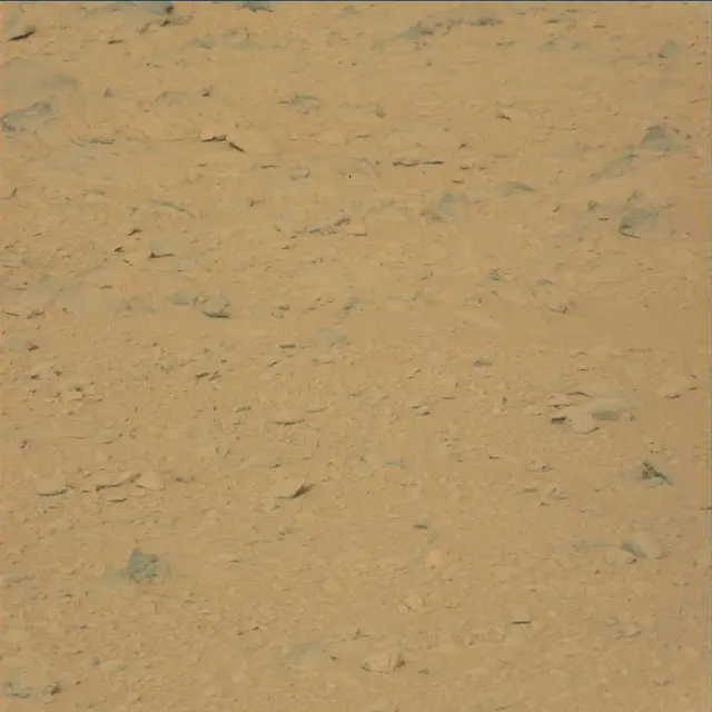 Sol 48: Mast Camera (Mastcam)