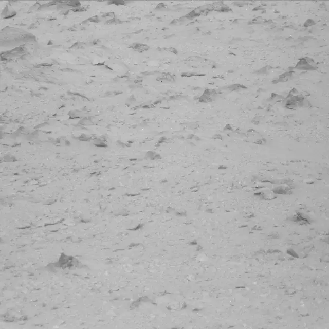 Sol 48: Mast Camera (Mastcam)