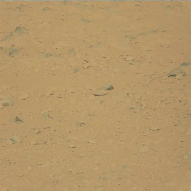 Sol 48: Mast Camera (Mastcam)
