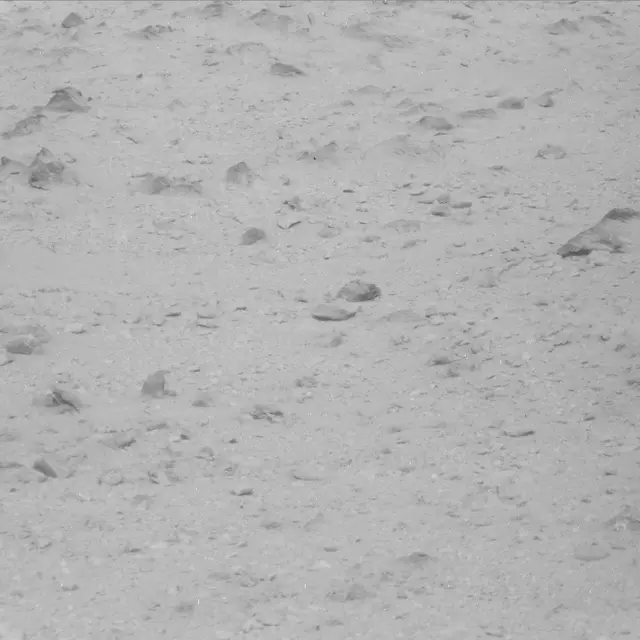Sol 48: Mast Camera (Mastcam)