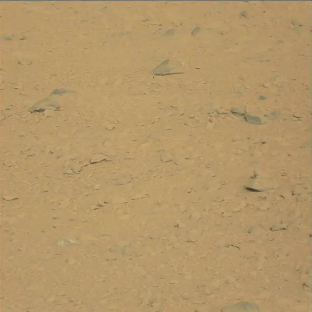 Sol 48: Mast Camera (Mastcam)
