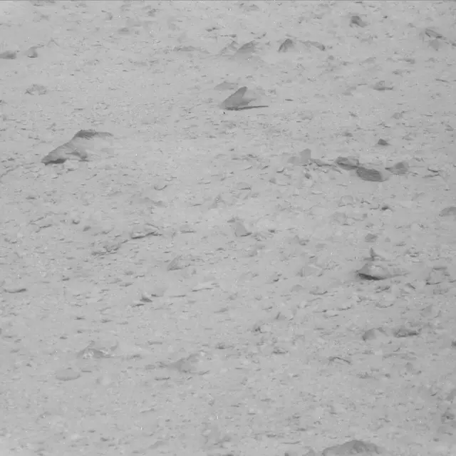 Sol 48: Mast Camera (Mastcam)