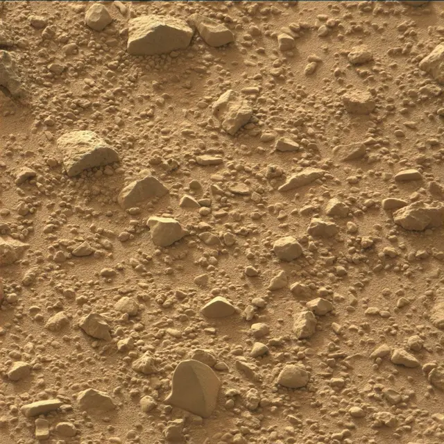 Sol 48: Mast Camera (Mastcam)