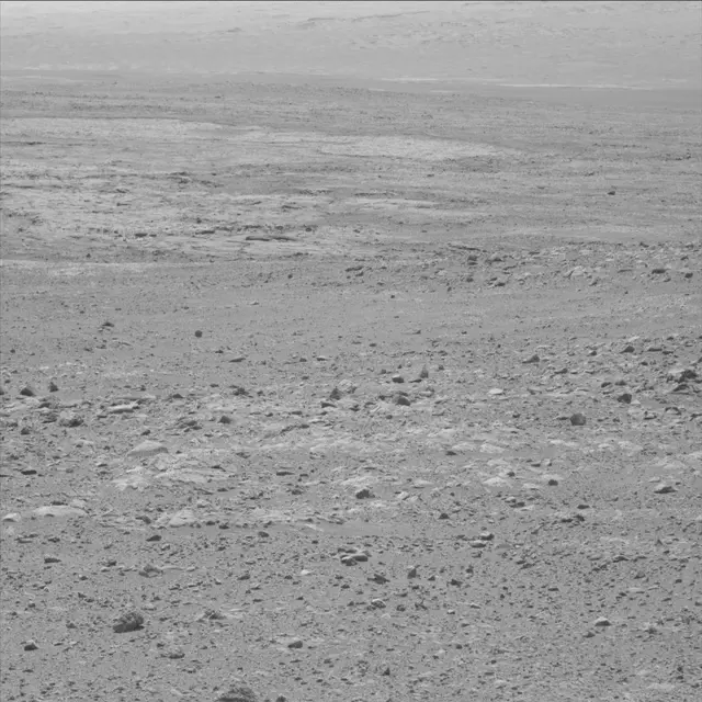 Sol 49: Mast Camera (Mastcam)