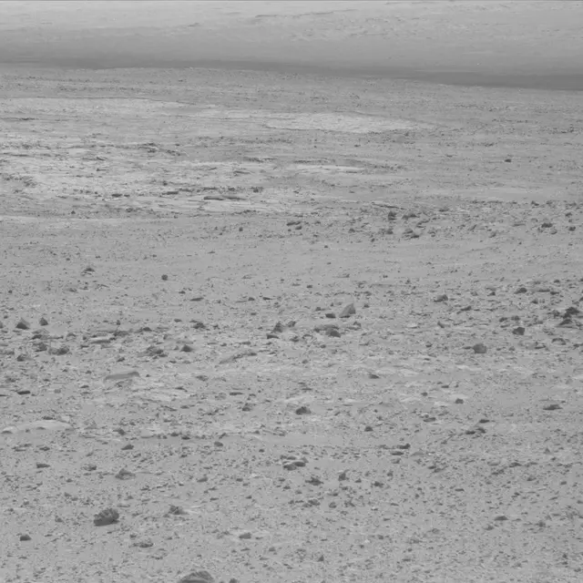 Sol 49: Mast Camera (Mastcam)