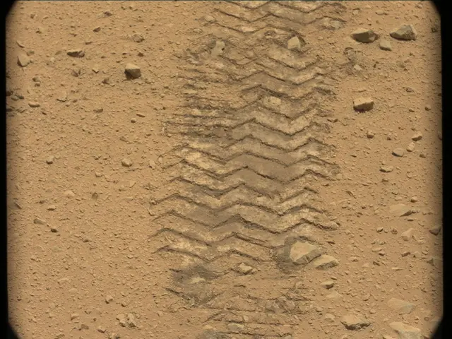 Sol 49: Mast Camera (Mastcam)