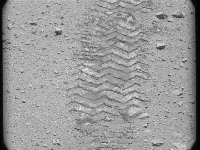 Sol 49: Mast Camera (Mastcam)