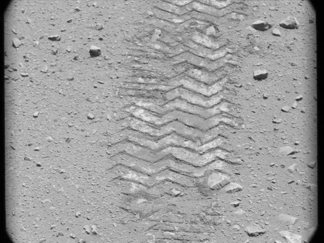Sol 49: Mast Camera (Mastcam)
