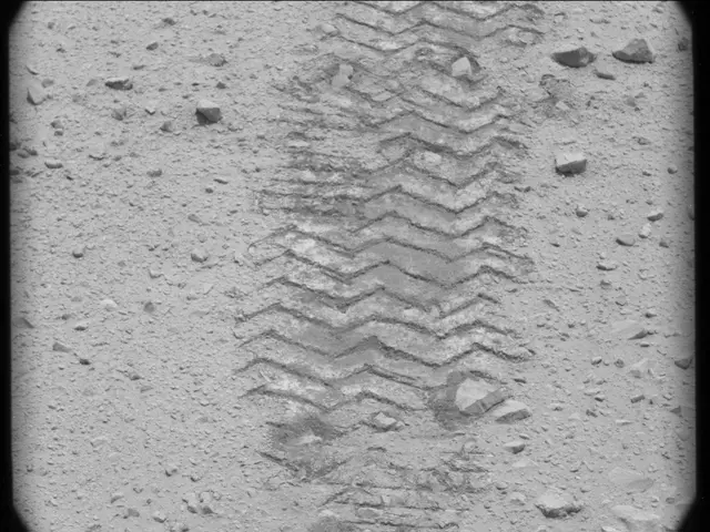 Sol 49: Mast Camera (Mastcam)