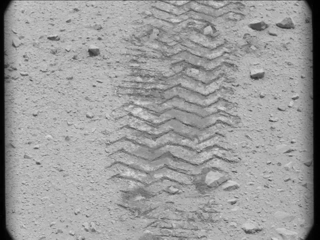 Sol 49: Mast Camera (Mastcam)
