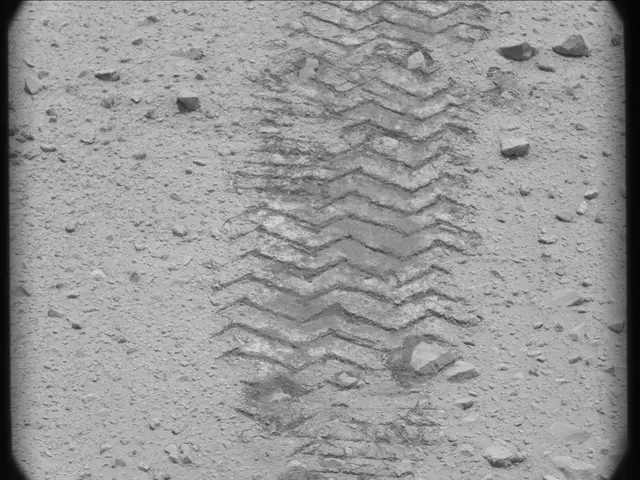 Sol 49: Mast Camera (Mastcam)
