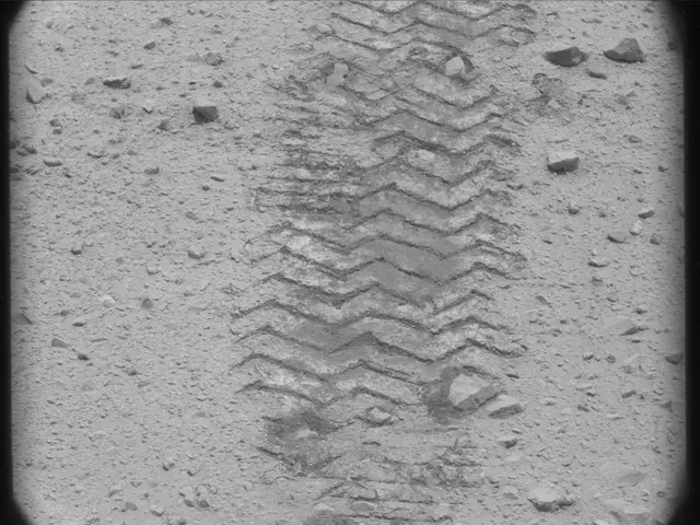 Sol 49: Mast Camera (Mastcam)