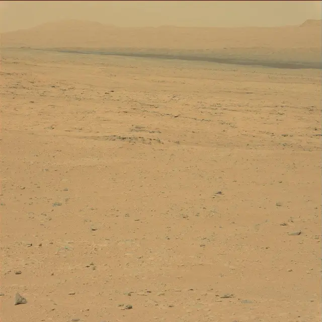 Sol 49: Mast Camera (Mastcam)