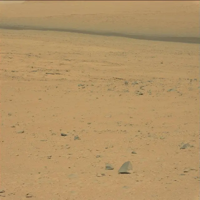 Sol 49: Mast Camera (Mastcam)