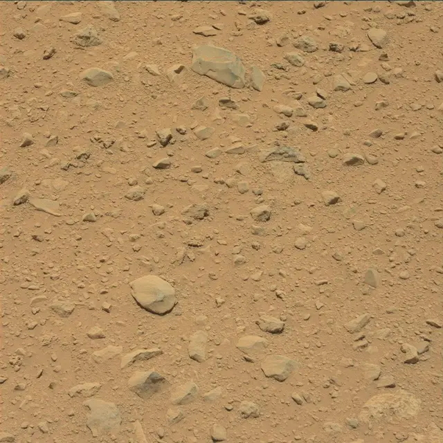 Sol 49: Mast Camera (Mastcam)