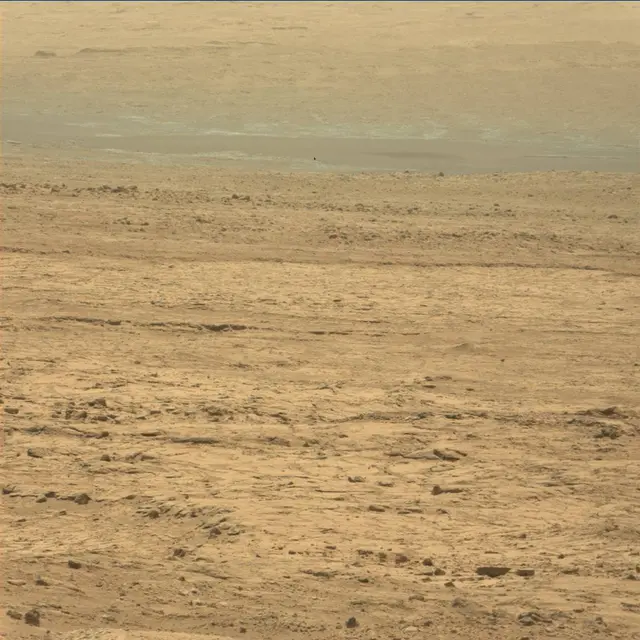 Sol 49: Mast Camera (Mastcam)