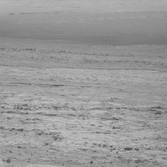 Sol 49: Mast Camera (Mastcam)