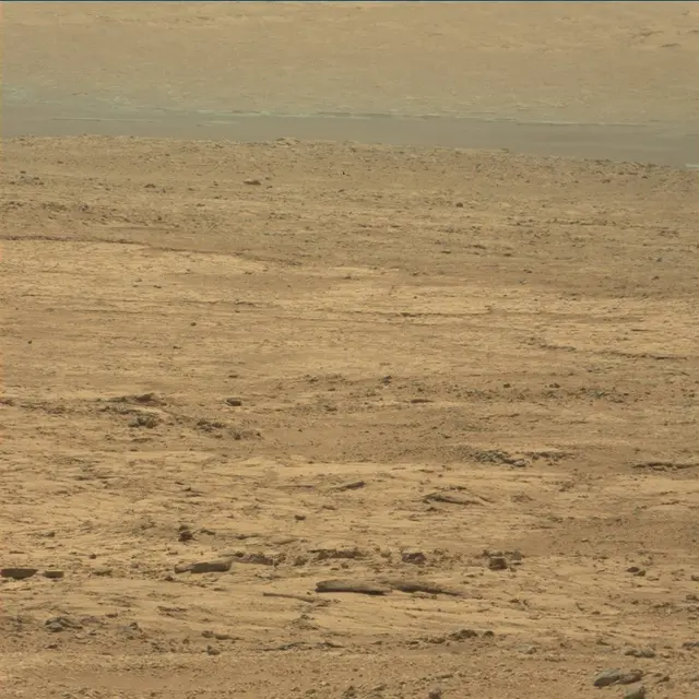 Sol 49: Mast Camera (Mastcam)