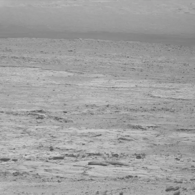 Sol 49: Mast Camera (Mastcam)