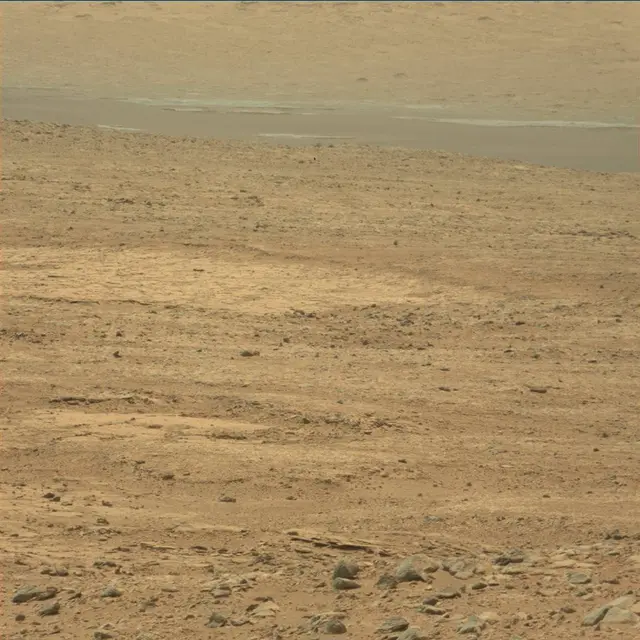 Sol 49: Mast Camera (Mastcam)