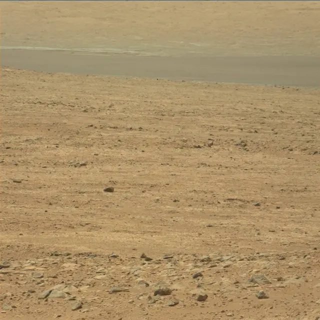 Sol 49: Mast Camera (Mastcam)