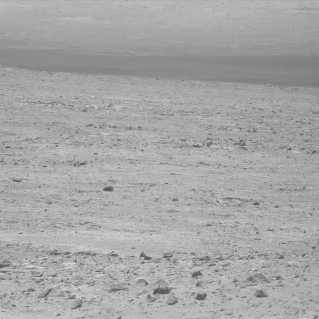 Sol 49: Mast Camera (Mastcam)