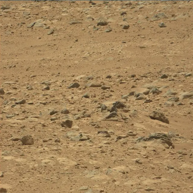 Sol 49: Mast Camera (Mastcam)