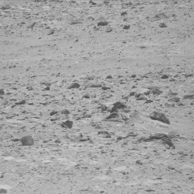 Sol 49: Mast Camera (Mastcam)