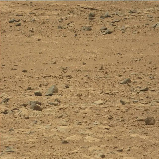 Sol 49: Mast Camera (Mastcam)