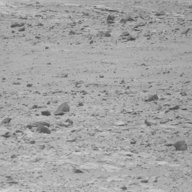 Sol 49: Mast Camera (Mastcam)