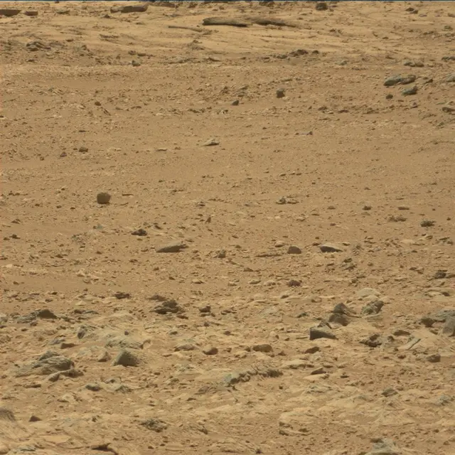 Sol 49: Mast Camera (Mastcam)