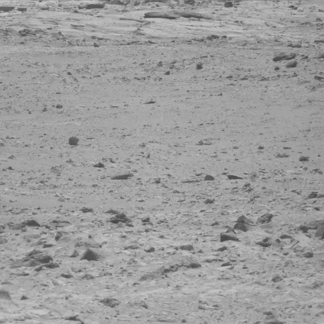 Sol 49: Mast Camera (Mastcam)