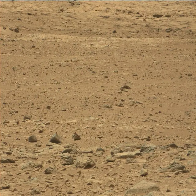 Sol 49: Mast Camera (Mastcam)