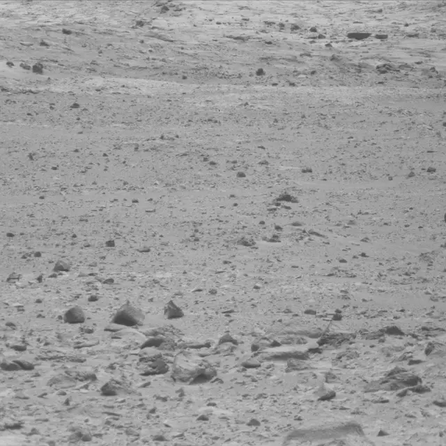 Sol 49: Mast Camera (Mastcam)