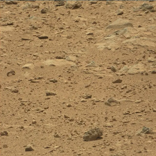 Sol 49: Mast Camera (Mastcam)