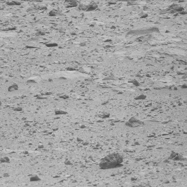 Sol 49: Mast Camera (Mastcam)