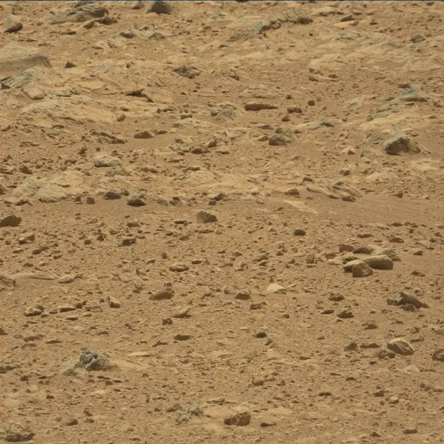 Sol 49: Mast Camera (Mastcam)