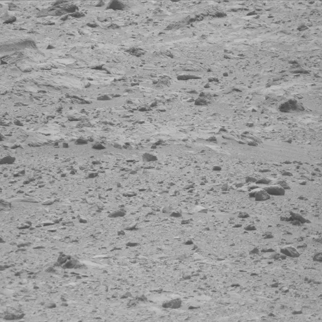 Sol 49: Mast Camera (Mastcam)