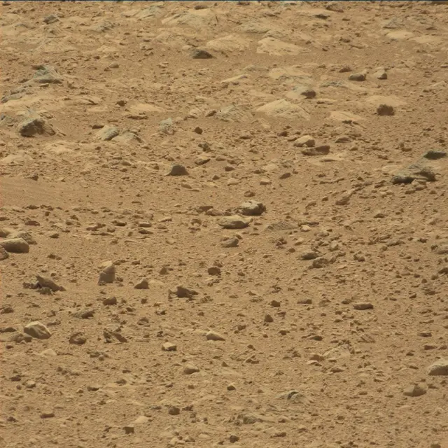 Sol 49: Mast Camera (Mastcam)