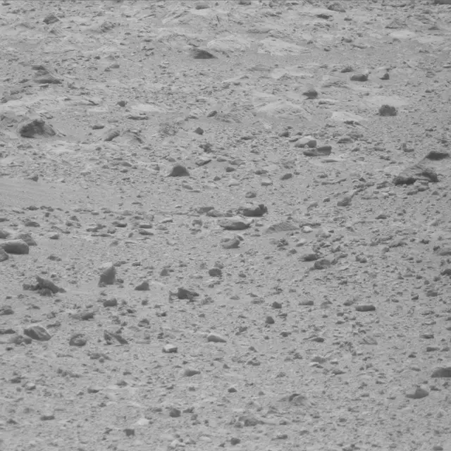 Sol 49: Mast Camera (Mastcam)